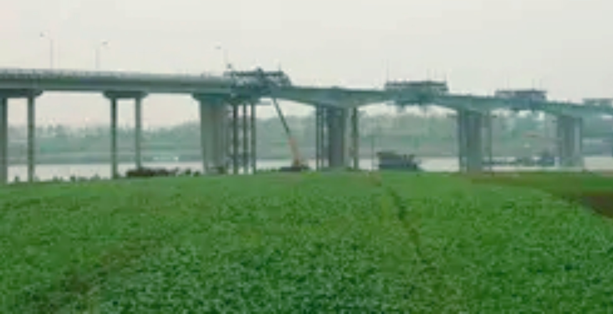 ��yun�����������