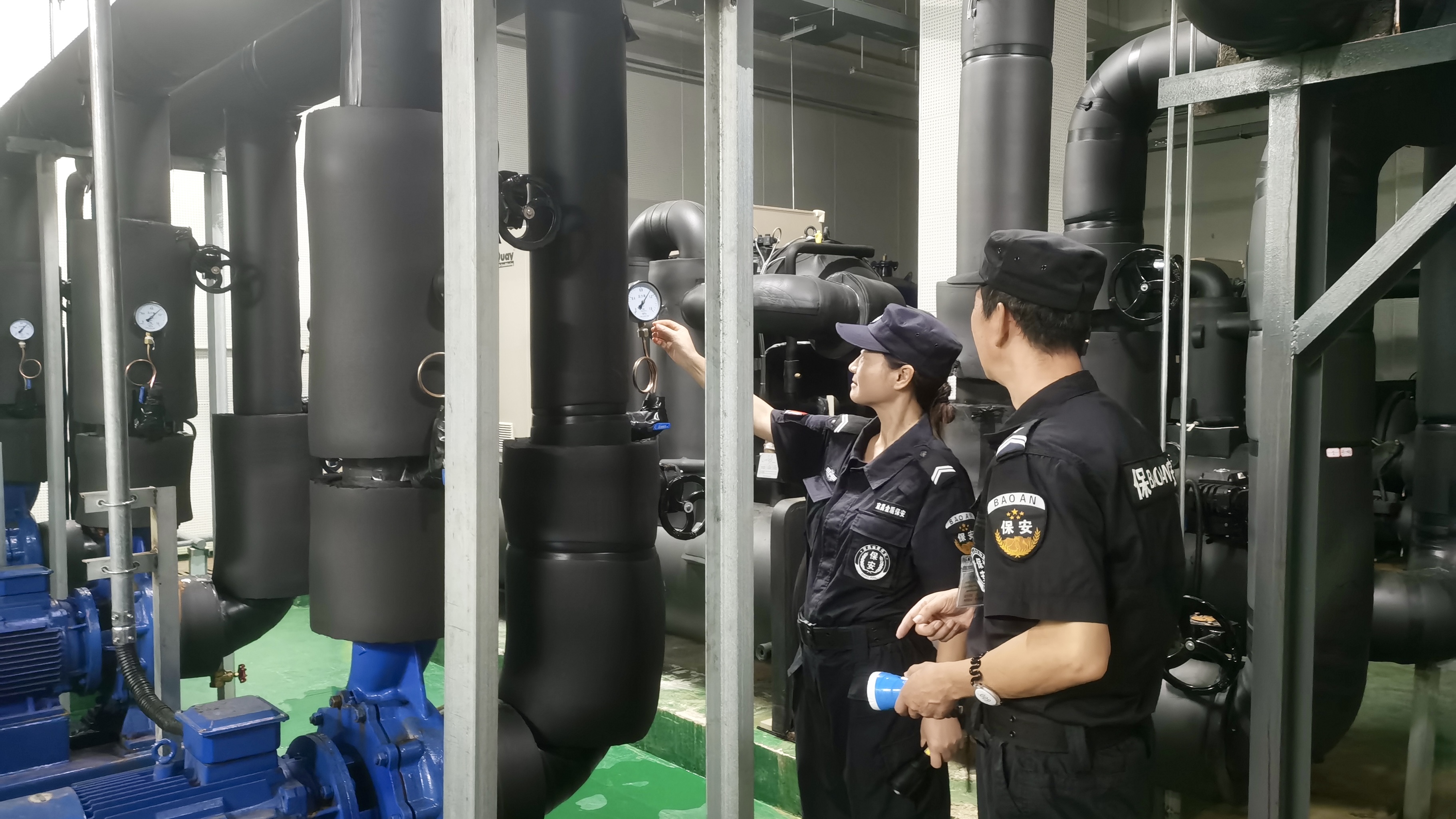 ��yun�����������