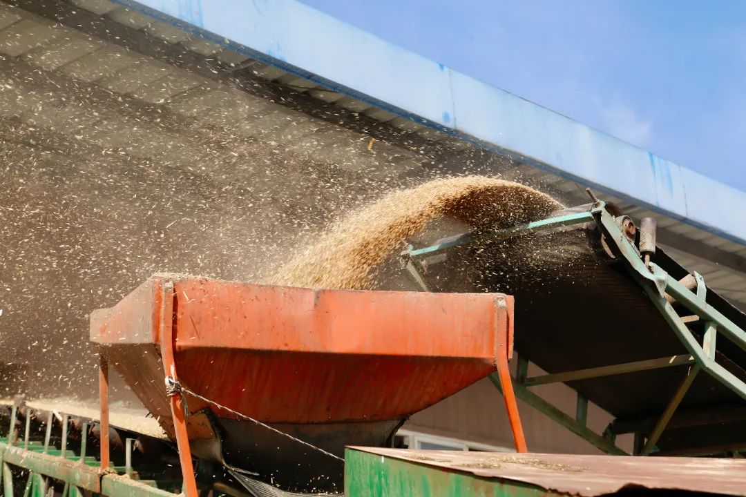 ��yun�����������