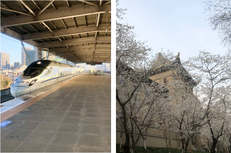 ��yun�����������