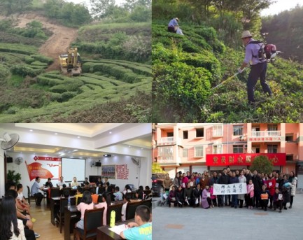 ��yun�����������