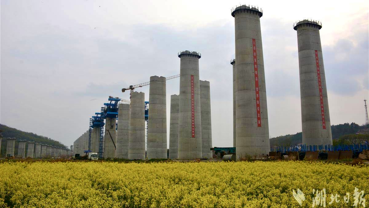 ¿ªyunÌåÓý¹ÙÍøÈë¿Ú