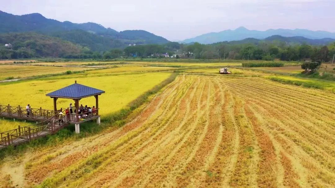 ��yun�����������