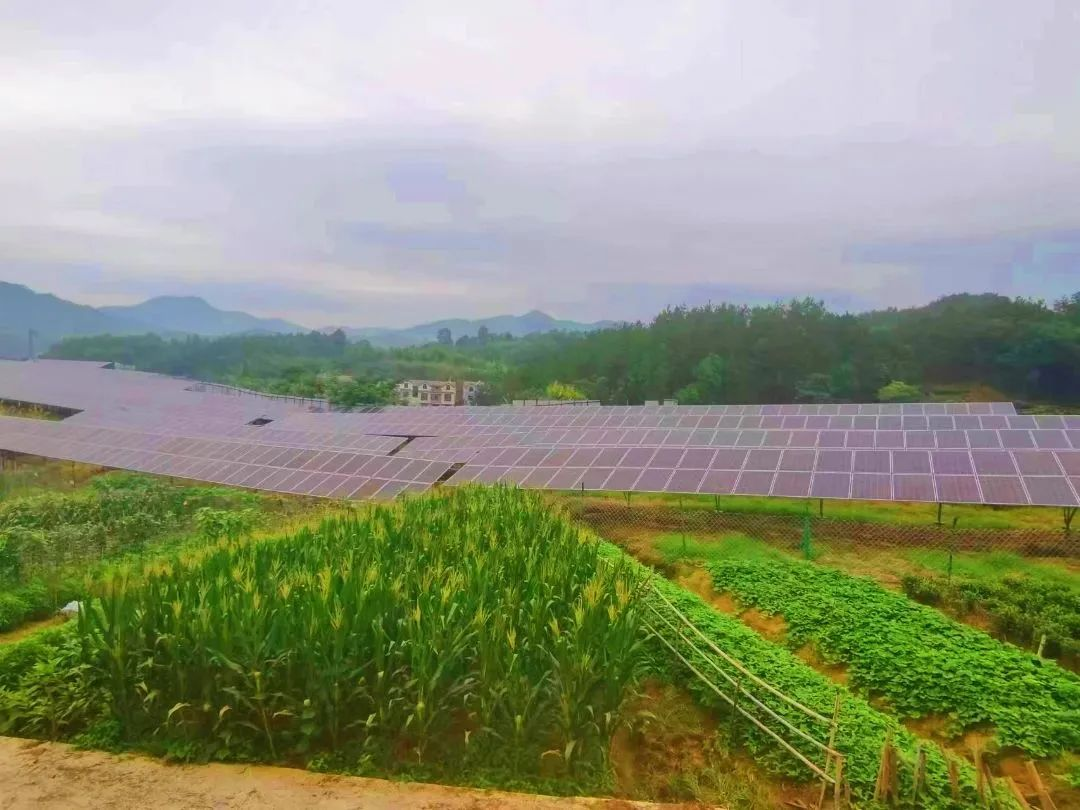 ��yun�����������